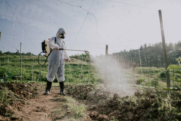 Best Pest Control Treatment  in Warm Springs, OR