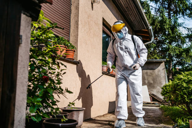 Best Flea Control Services  in Warm Springs, OR