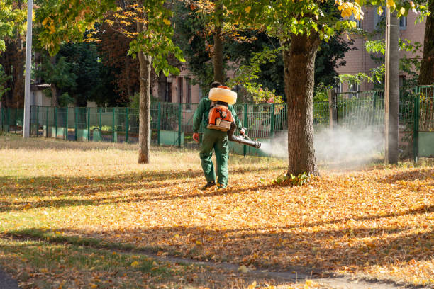 Best Emergency Pest Control  in Warm Springs, OR