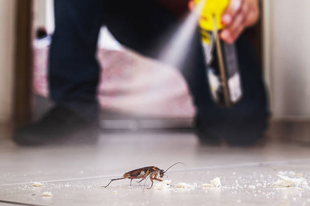 Best Pest Control Near Me  in Warm Springs, OR