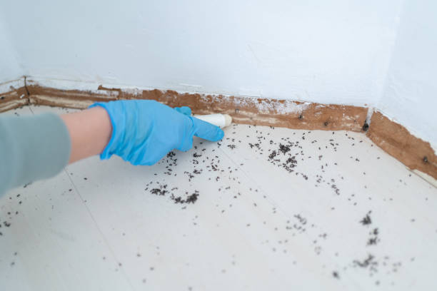 Best Rat Extermination Near Me  in Warm Springs, OR