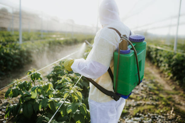 Best Pest Removal Services  in Warm Springs, OR